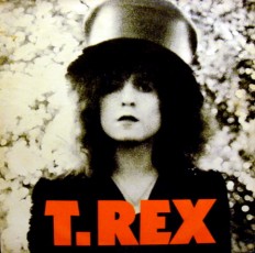 Виниловая пластинка T.Rex - Slider /UK/