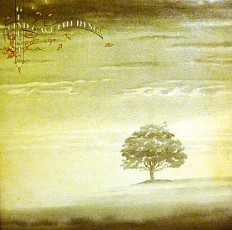 Виниловая пластинка Genesis - Wind & Wuthering /UK/ 1 press