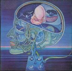 Clearlight Symphony - Clearlight Symphony /En/
