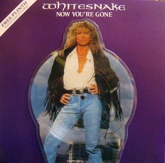 Виниловая пластинка Whitesnake - Now youre gone /En/