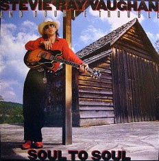 Виниловая пластинка Stevie Ray Vaughan - Soul to soul /NL/