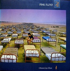 Виниловая пластинка Pink Floyd - A momentary lapse of reason /NL/