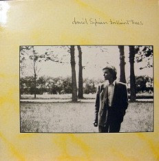 Виниловая пластинка David Sylvian - Brilliant threes /UK/