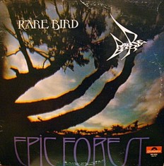 Rare Bird - Epic Forest /US/