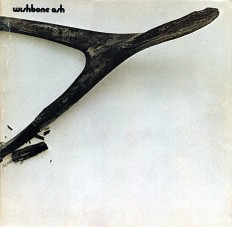 Виниловая пластинка Wishbone Ash  - Wishbone Ash /G/