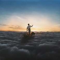 Виниловая пластинка Pink Floyd - The endless river/EU/2LP