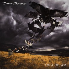 Виниловая пластинка David Gilmour - Rattle That Lock /EU/