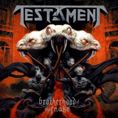 Виниловая пластинка Testament - Brotherhood Of The Snake /G/