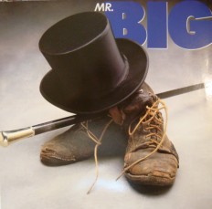 Виниловая пластинка Mr.BIG - Same/G/